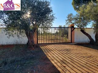 Xalet a Argamasilla de Calatrava. Venta de campo situado entre argamasilla y aldea del rey