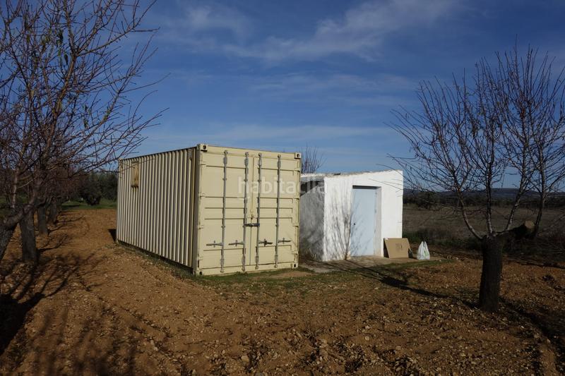 Foto 116e57c8-b579-4762-9057-545ba2fa83ee. Finca rústica a Argamasilla de Calatrava