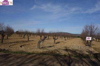 Finca rústica a Argamasilla de Calatrava. Venta de terreno rústico 2 hectareas ref.3924