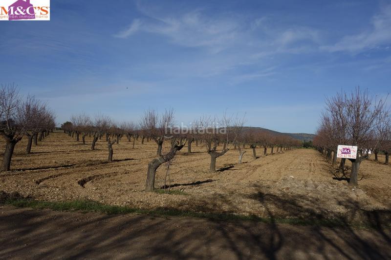 Foto 2b6e2c43-893e-4e37-bbf6-7ba532d90ab3. Finca rústica a Argamasilla de Calatrava