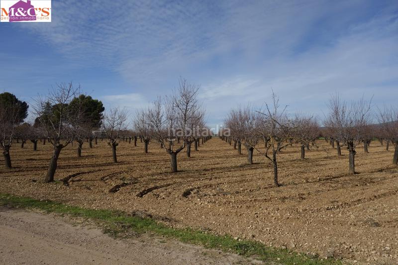 Foto 5b012be6-c61b-4615-a3bd-c58c1920ad00. Finca rústica a Argamasilla de Calatrava