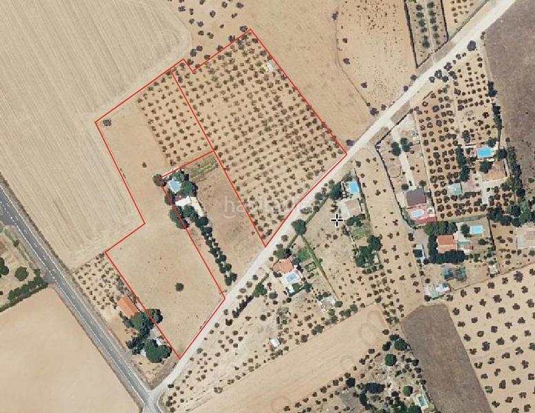 Foto 8aad1233-f810-4322-9cd8-2f80667c79ec. Finca rústica a Argamasilla de Calatrava