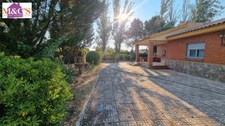 Finca rústica a Argamasilla de Calatrava. Venta campo zona ctra aldea del rey ref. 3989