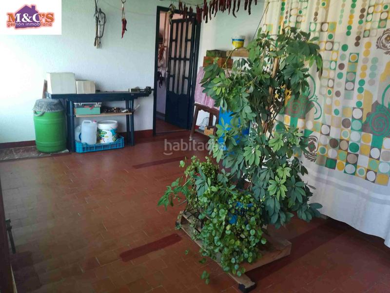 Foto 135accea-c0aa-4818-adb5-cc48abbdc20c. Maison dans Las Mercedes - El Carmen Puertollano