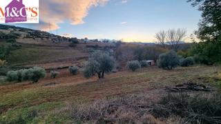 Propriété à Carretera de Córdoba - Libertad. Venta terreno rustico parcela 9000 metros