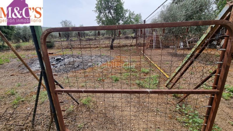 Foto a4f41b2b-9f85-411f-a42d-a404aad82e29. Xalet amb xemeneia aparcament piscina a Almodóvar del Campo
