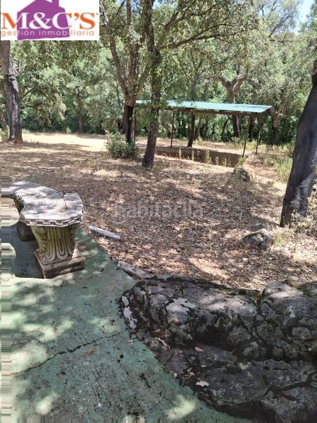 Foto 04a891c0-50dd-486e-a17c-bd6879fc9f55. Finca rústica a Fuencaliente