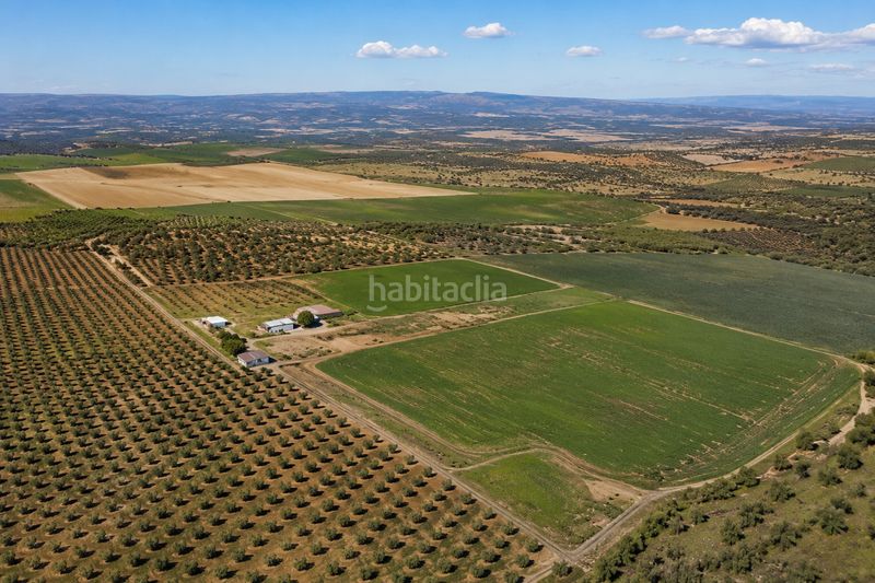 Foto 4c83f135-214c-4038-a3d2-604fc21d911e. Finca rústica a San Isidro - Campohermoso Níjar