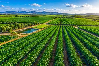 Propriété à San Isidro - Campohermoso. ?? finca rústica de 140 hectáreas ??