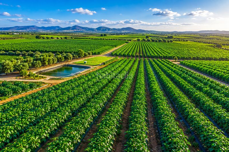 Foto ab22f428-2e3c-4af6-b8b3-0dc7e647f7f6. Finca rústica a San Isidro - Campohermoso Níjar