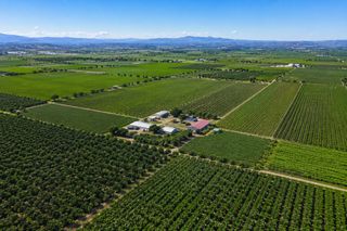 Propriété à San Isidro - Campohermoso. ?? 140 hectáreas de alto rendimiento agrícola ??