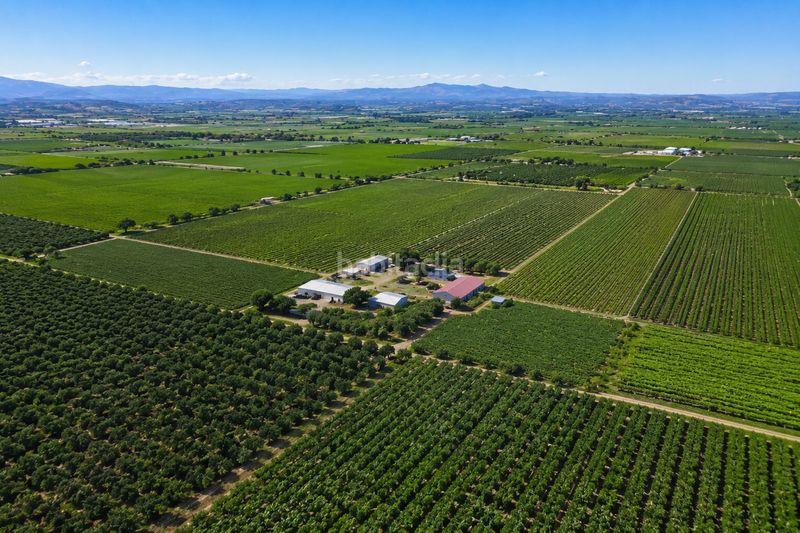 Foto 06c5c366-f4e4-4806-aefa-94bec2d36e0e. Finca rústica a San Isidro - Campohermoso Níjar