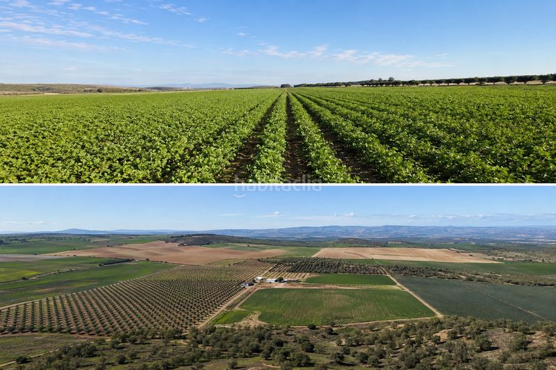 Foto aa87cb45-e765-47e1-8c66-c36d31d7e25b. Finca rústica a San Isidro - Campohermoso Níjar