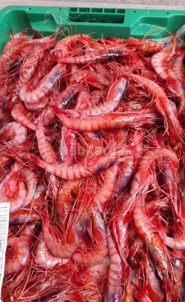 Foto 9d6c06bf-c32c-459c-ad29-3ed0e0cd79c1. Location local commercial dans El Puerto - La Romanilla Roquetas de Mar