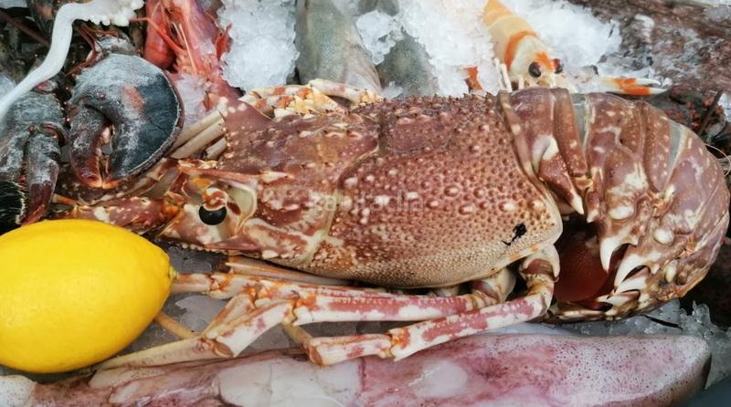 Foto bb9eac93-d58f-478d-9ead-c30e6512ed2d. Location local commercial dans El Puerto - La Romanilla Roquetas de Mar