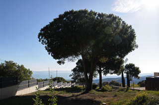 Terrain résidentiel à Del mirador 2. Amplio terreno vistas al mar con proyecto de casa unifamiliar