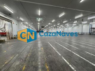 Lloguer Nau industrial a Avenida de las morcilleras 56. Nave en alquiler refrigerada con muelles de carga