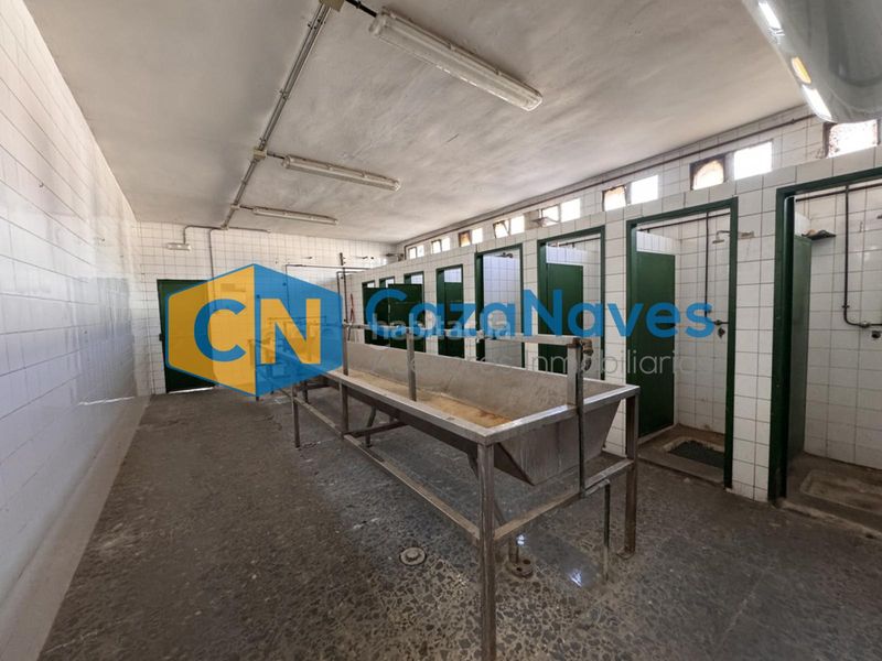 Foto d87fe4f2-9652-4a45-851a-09df1997329b. Bâtiment à usage industriel dans Zona Industrial Pinto