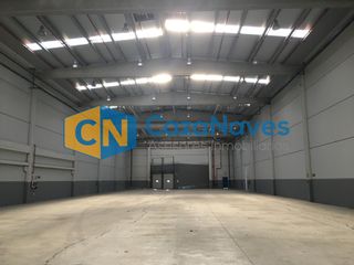 Capannone industriale in Zona Industrial