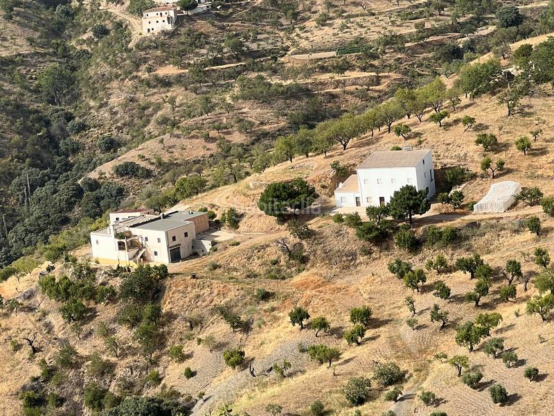 Foto f7a3cbaf-6b8f-44b3-897c-bad69cad8875. Masía en calle sol 1 cortijo con dos viviendas y finca en produccion en Torvizcón