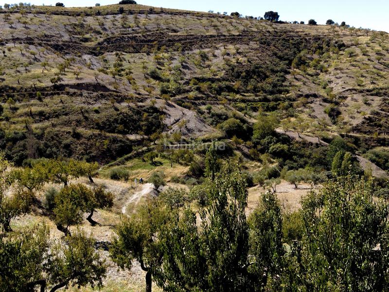 Foto f88718f5-d1c1-4166-bdc6-58bca51499e1. Masía en calle sol 1 cortijo con dos viviendas y finca en produccion en Torvizcón