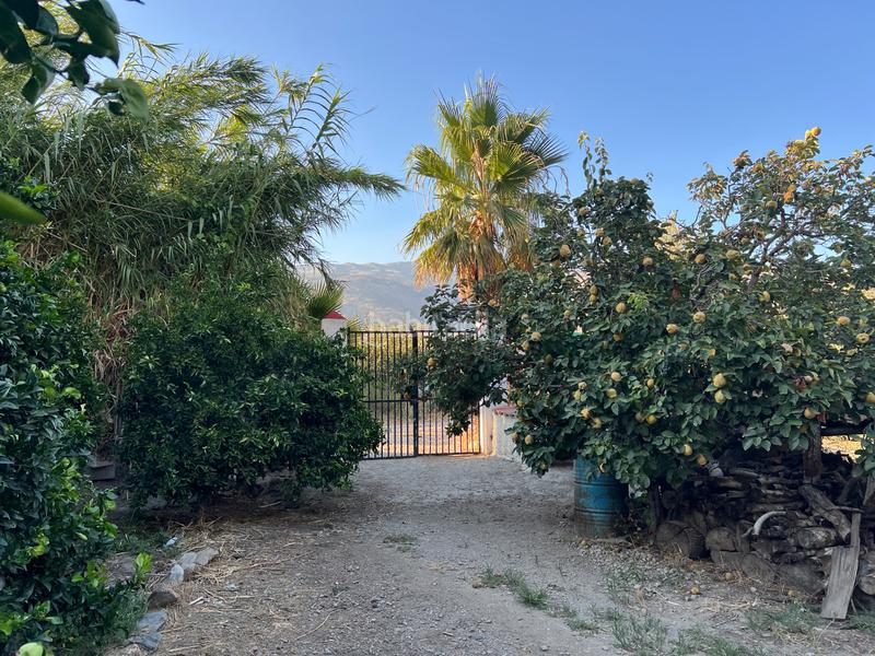 Foto 2d06a531-2835-4d2d-825e-27108a8b7efc. Masia amb xemeneia calefacció aparcament piscina a Órgiva