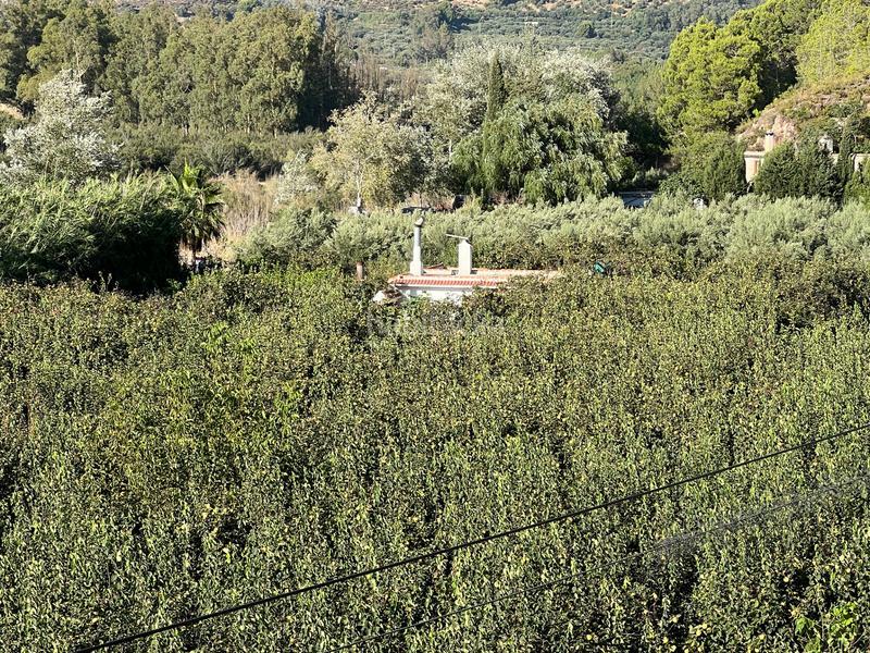 Foto 557bed9d-47b5-4a1b-9baa-39884b824e29. Masia amb xemeneia calefacció aparcament piscina a Órgiva