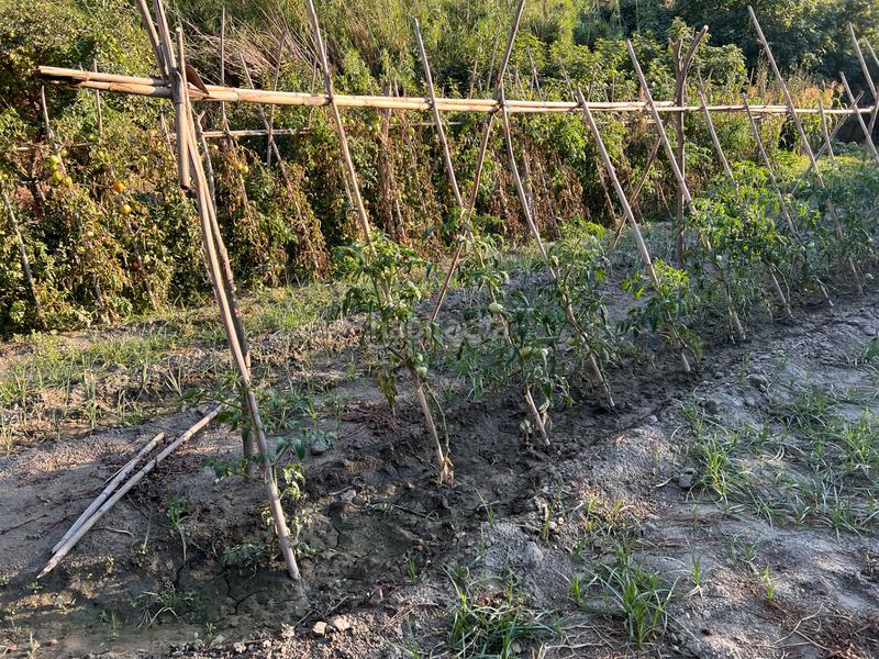 Foto 5fe4fc04-ed9f-4e4d-9b17-c37064d0fd4d. Masia amb xemeneia calefacció aparcament piscina a Órgiva