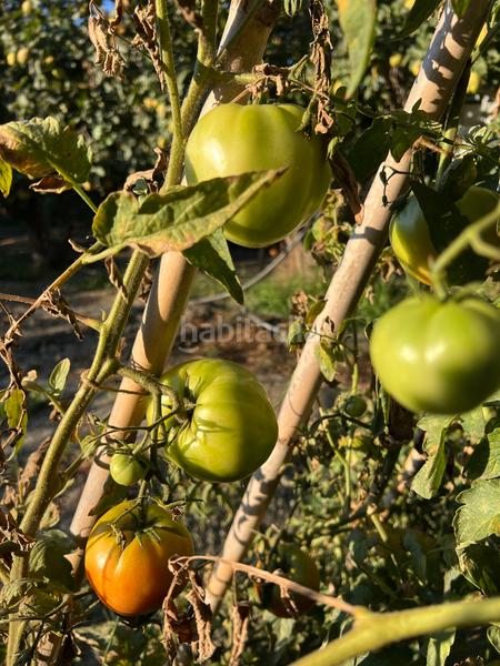 Foto 686ba20a-2766-443a-981d-baa21988fb29. Masia amb xemeneia calefacció aparcament piscina a Órgiva