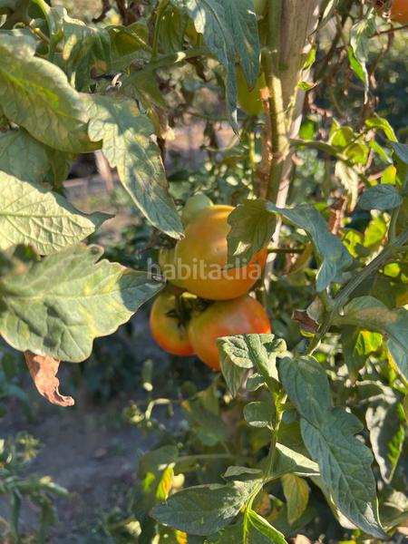 Foto af7ce560-79bc-4dd6-9a9c-d93a5a9854f5. Masia amb xemeneia calefacció aparcament piscina a Órgiva