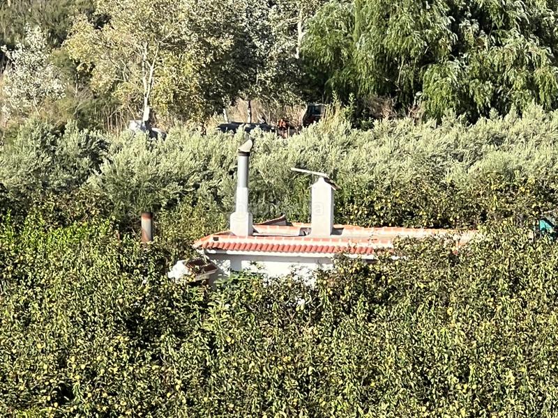 Foto b1a11343-ca2f-4edf-b90a-653e1d2bc7e0. Masia amb xemeneia calefacció aparcament piscina a Órgiva