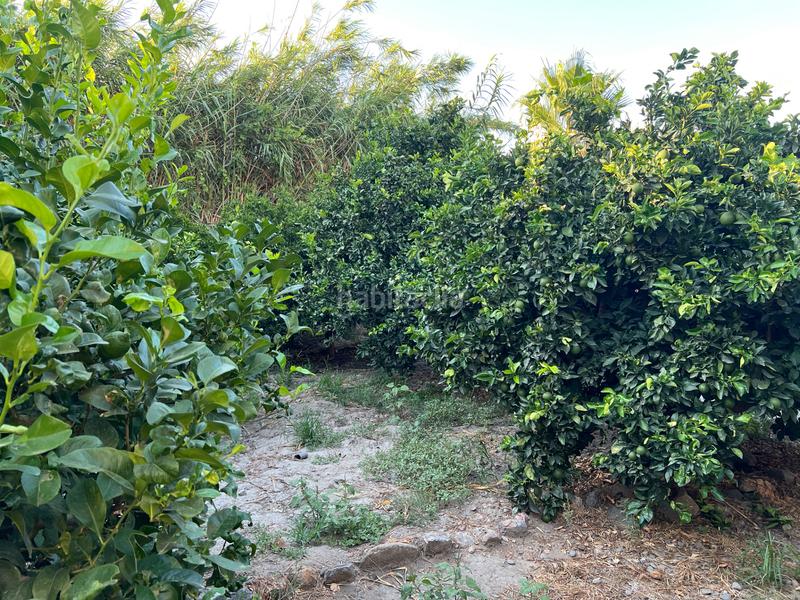 Foto cced15eb-099b-4d10-9390-47a4a7b946db. Masia amb xemeneia calefacció aparcament piscina a Órgiva