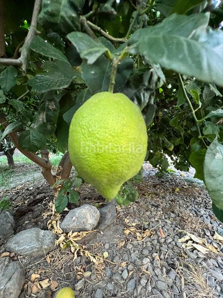 Foto e05cdaa2-1337-4699-80ac-a270c04bd7e1. Masia amb xemeneia calefacció aparcament piscina a Órgiva