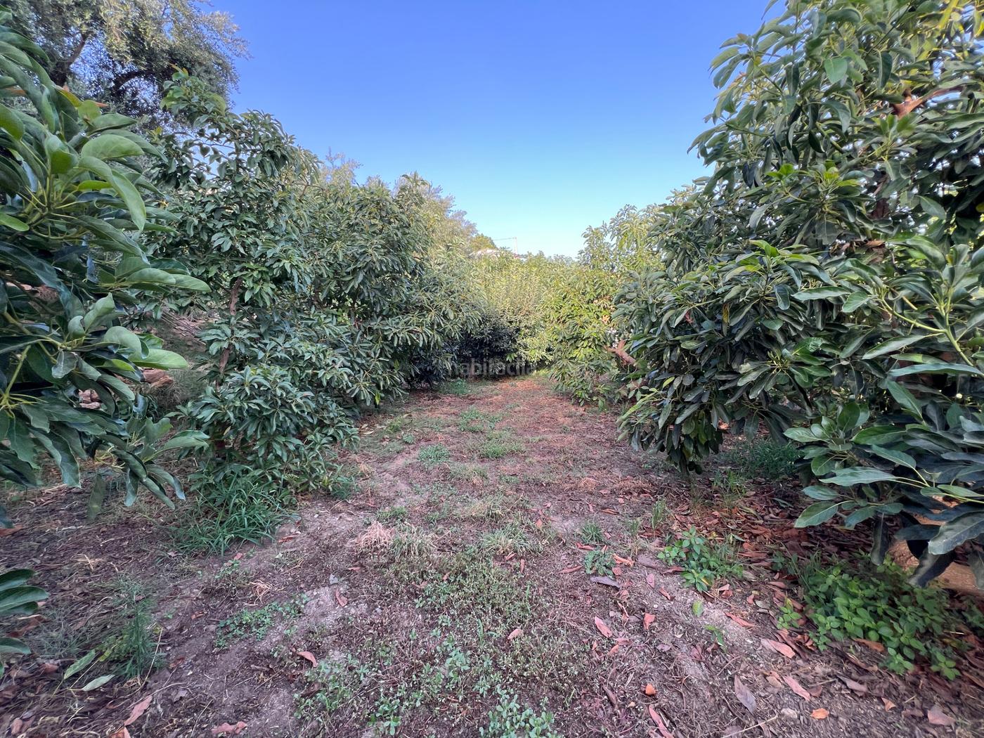 Finca rstica amueblado Lanjarn
