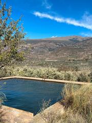 Finca rústica a Lugar tablones 195. Parcela de regadio con olivos y agua propia.