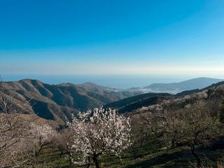 Finca rústica a Rubite. Punto extratejico en la alpujarra