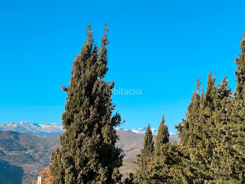 Foto c884f9d8-b328-4cf2-a187-a308d355c386. Fondo rustico in Rubite