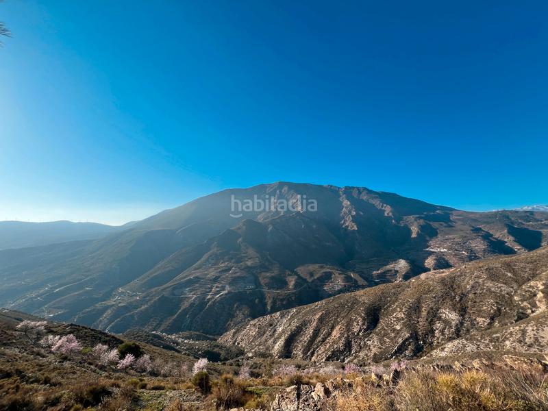 Foto cd92c7cb-6bf9-4517-9d28-d44718612563. Fondo rustico in Rubite