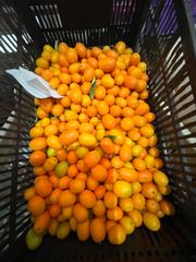 Bâtiment à usage industriel à Playa de Granada. Se vende empresa de comercializacion de frutas - verduras ecolog