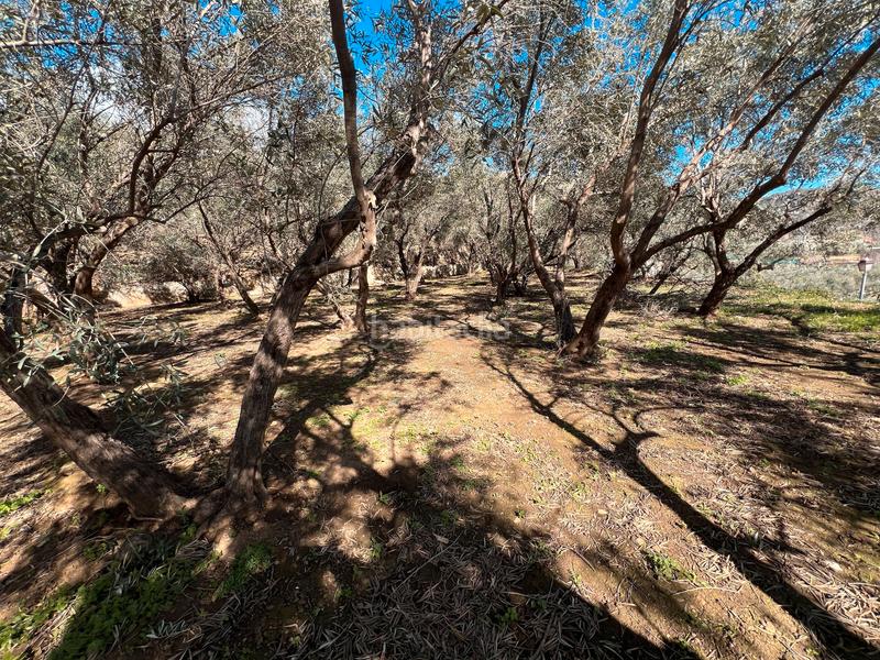 Foto aafe5ef8-c666-46cf-b55e-db2a06e6d6ec. Finca rústica finca con casa para restaurar en Lanjarón