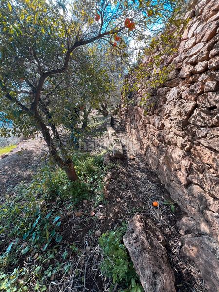 Foto b0bdcb6d-184d-4b3c-8c9e-f23d3b255d9b. Finca rústica finca con casa para restaurar en Lanjarón