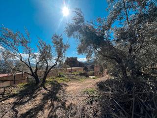 Finca rústica a Lanjarón. Finca con casa para restaurar