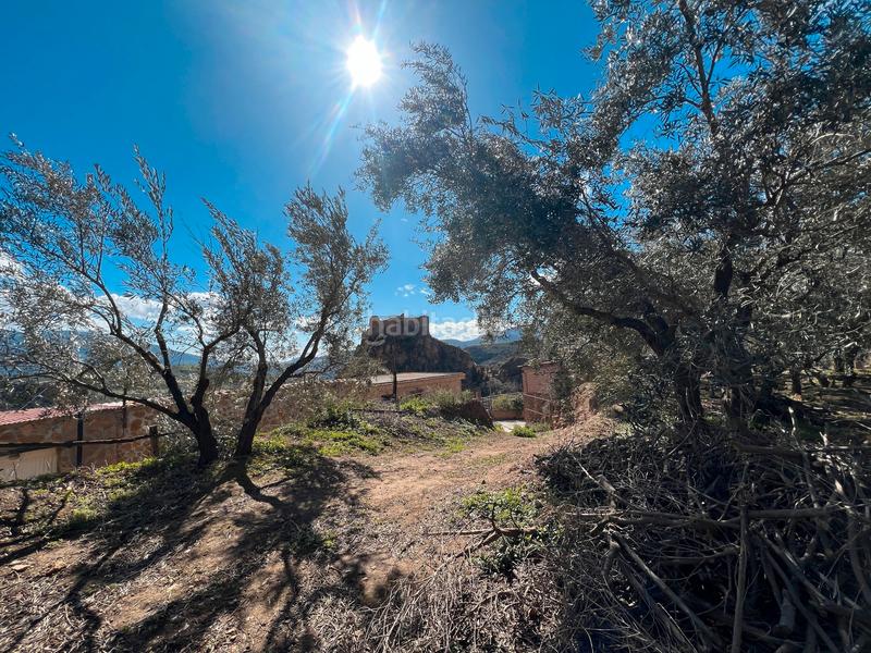 Foto fcfd97de-e3ee-4f7b-8634-6ffdc1c6c9dc. Finca rústica finca con casa para restaurar en Lanjarón