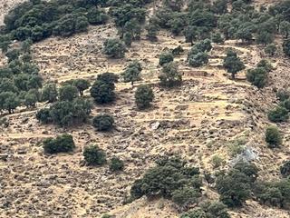 Rural plot in Cáñar. Finca con agua y cortijos