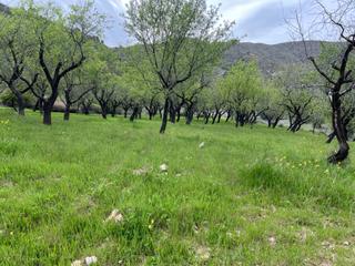 Rural plot in Órgiva. Finca con agua