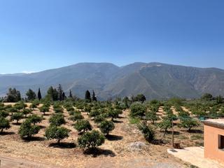 Rural plot in Órgiva. Finca con cortijo