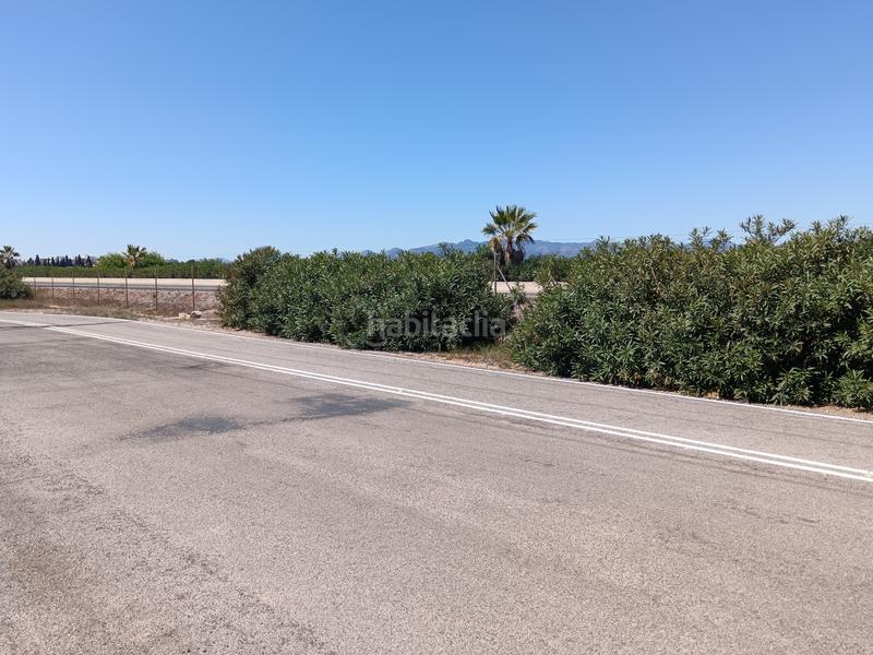 Foto 83243588-e3a4-49ba-b91c-7d415cf73823. Finca rústica autovia almazora en Centro Burriana