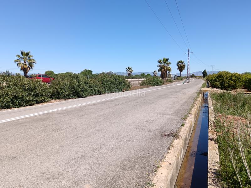 Foto cfb2a75d-e09a-4e65-8341-6e7b637ccb91. Finca rústica autovia almazora en Centro Burriana