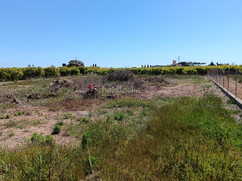 Foto fb123948-dfb2-4f8b-9db3-ef36ab723e33. Finca rústica autovia almazora en Centro Burriana