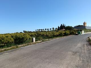 Propriété  Partida poligono 3. Naranjal cami carnicers